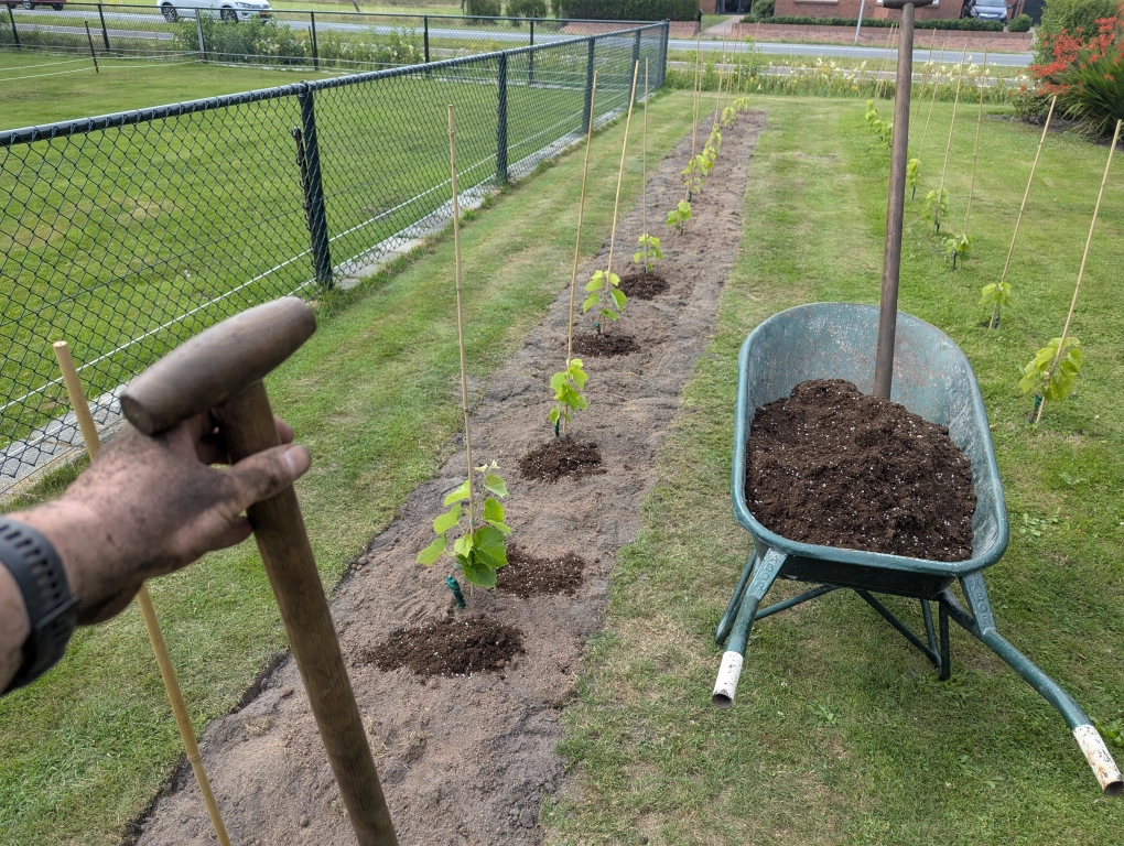 Terraforming progress 0 Terraforming progress 0