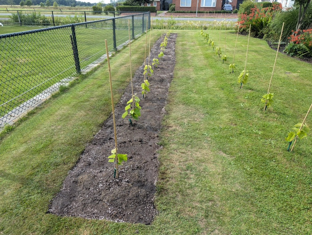 Terraforming progress 1 Terraforming progress 1