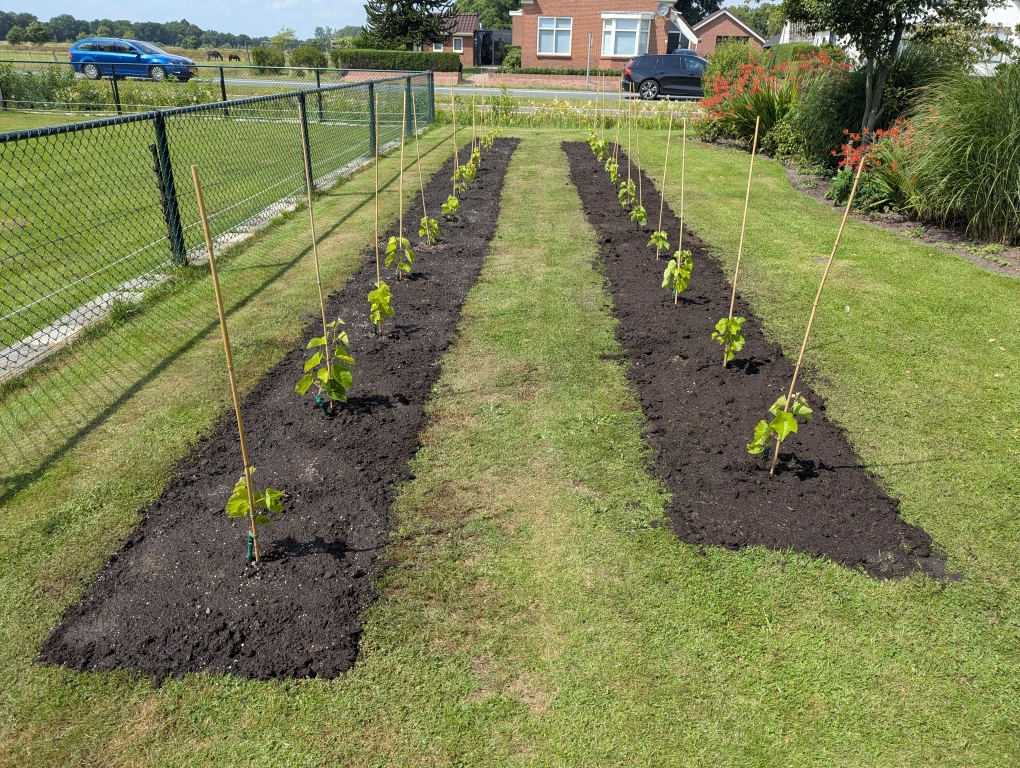 Terraforming progress 2 Terraforming progress 2