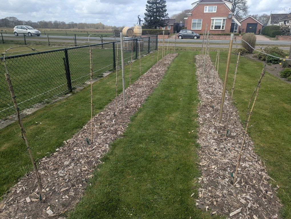 April dormancy April dormancy
