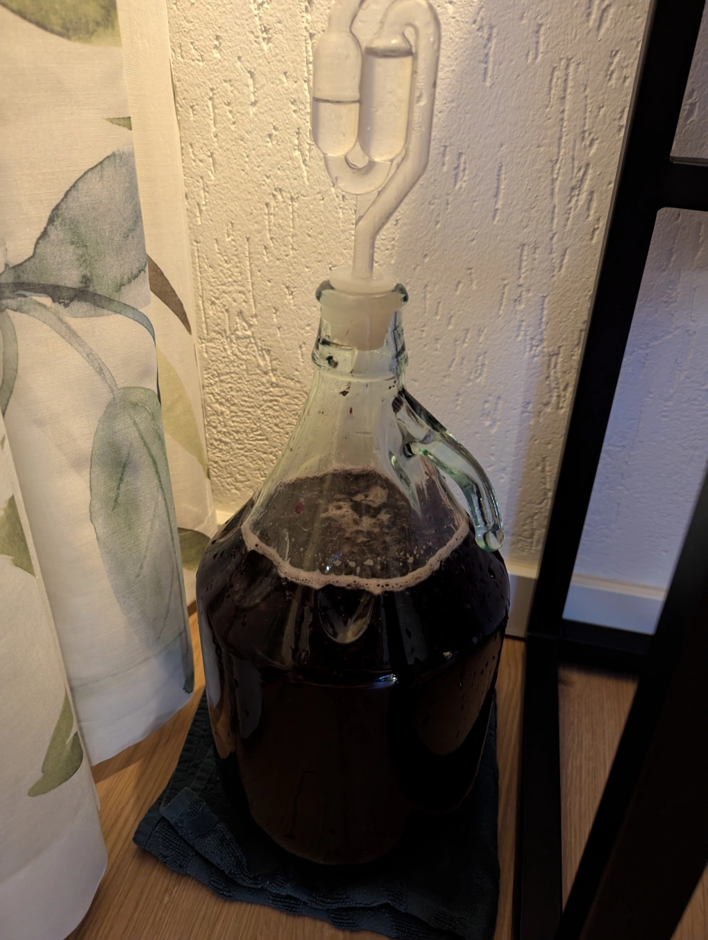 Blueberry Pyment in primary fermentation