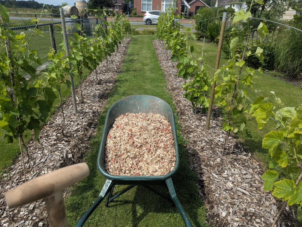 Late June Mulching Late June Mulching