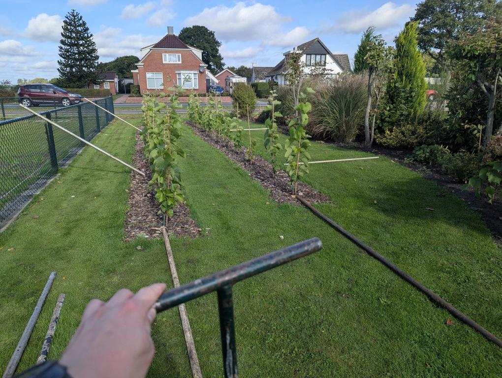 Trellis construction - before Trellis construction - before